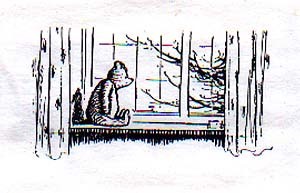 Cover of Honey at the Core cassette. A horiztonal rectangular black and white drawing of a small innocuous cartoon bear sitting by a window, with two curtains on either side of it. Outside there is a tree with no leaves.