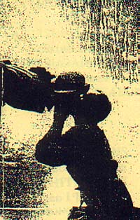 Cover of Seahorses cassette. The grainy quality of the image makes it hard to make out what it is, however it seems to be a person holding up some form of object, or potentially two people kissing. Hard to tell, frankly.